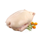 Swedish Blue Duck