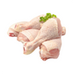 Buff Orpington Duck